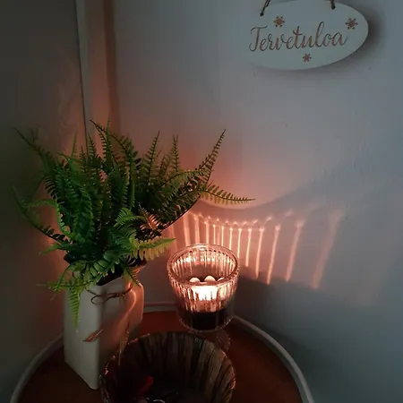 Kaarteen Yksioe Apartament